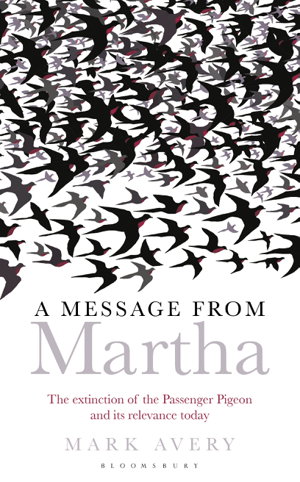 Cover art for Message from Martha