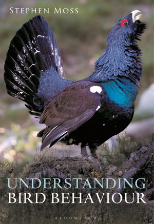 Cover art for Understanding Bird Behaviour