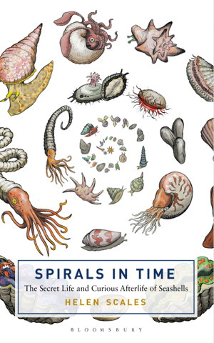Cover art for Spirals in Time