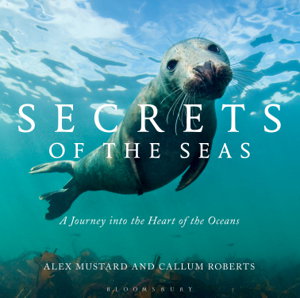 Cover art for Secrets of the Seas