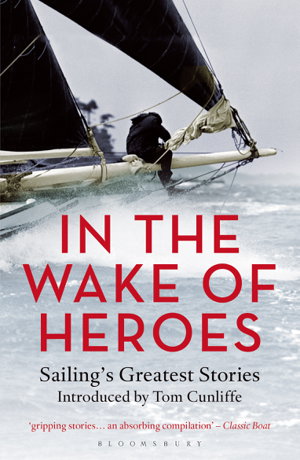 Cover art for In the Wake of Heroes