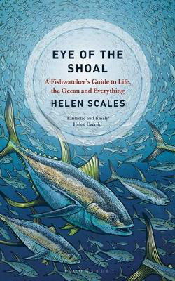 Cover art for Eye of the Shoal