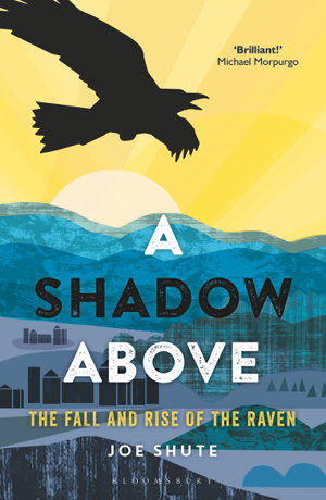 Cover art for A Shadow Above