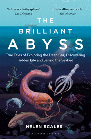Cover art for The Brilliant Abyss