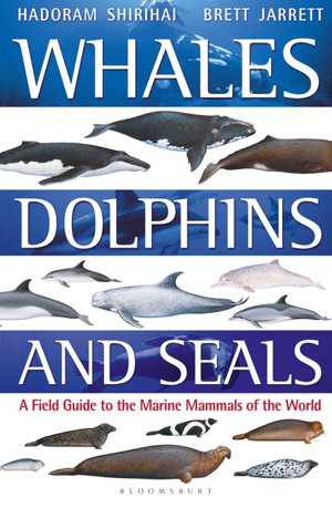 Cover art for Whales, Dolphins and Seals
