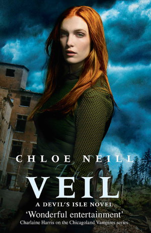 Cover art for The Veil