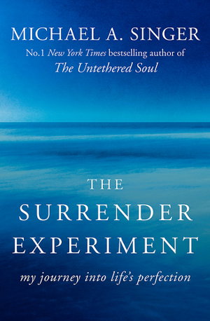 Cover art for Surrender Experiment
