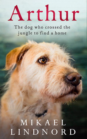 Cover art for Arthur The Dog Who Crossed the Jungle to Find a Home