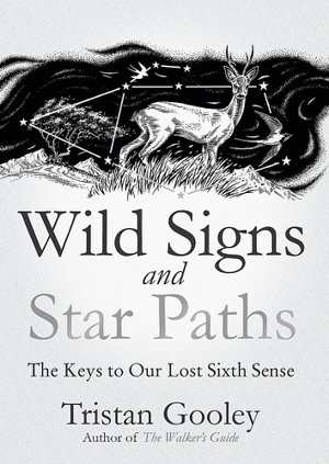 Cover art for Wild Signs and Star Paths
