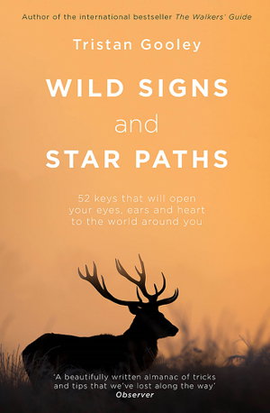 Cover art for Wild Signs and Star Paths