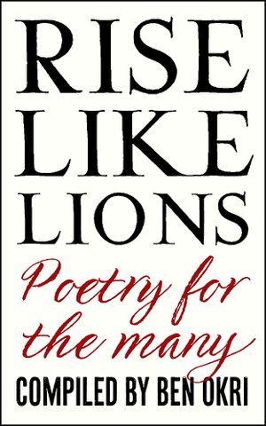 Cover art for Rise Like Lions
