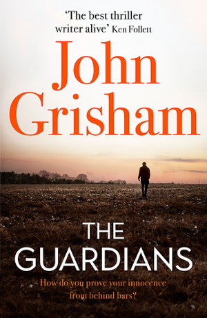 Cover art for The Guardians