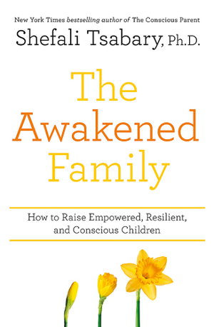 Cover art for The Awakened Family