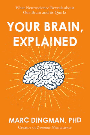 Cover art for Your Brain, Explained