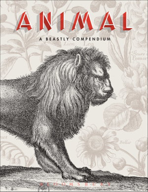 Cover art for Animal
