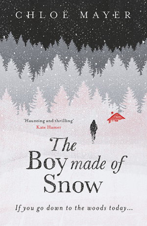 Cover art for The Boy Made of Snow