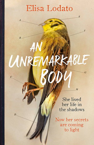 Cover art for An Unremarkable Body