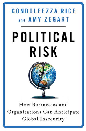 Cover art for Political Risk