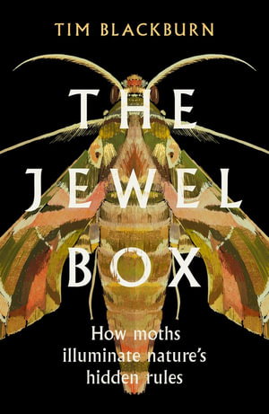 Cover art for The Jewel Box