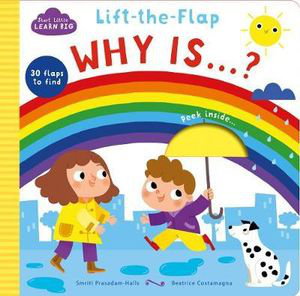 Cover art for Start Little Learn Big Lift-the-Flap Why Is...?