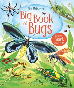 Cover art for Big Book of Big Bugs