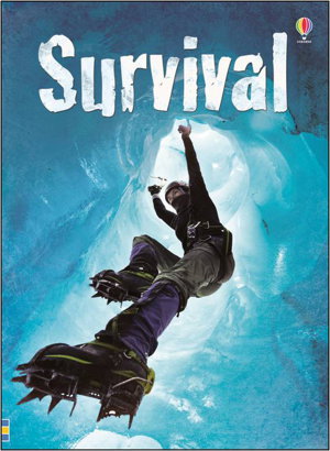 Cover art for Beginners Plus Survival