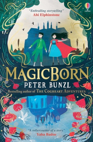 Cover art for Magicborn