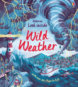 Cover art for Look Inside Wild Weather