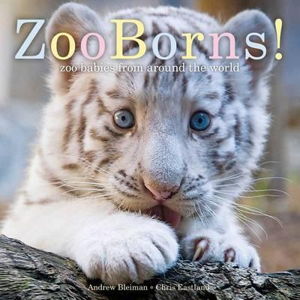 Cover art for ZooBorns!