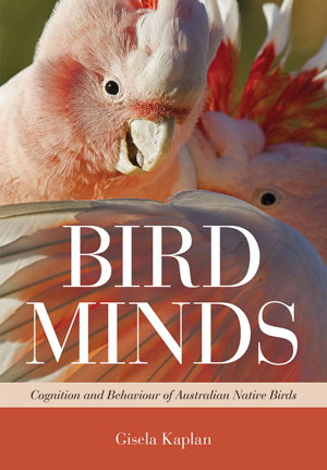 Cover art for Bird Minds