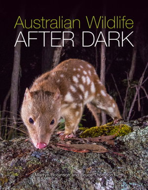 Cover art for Australian Wildlife After Dark