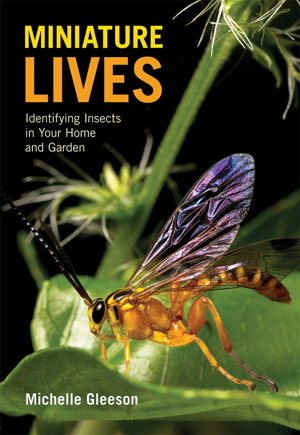 Cover art for Miniature Lives