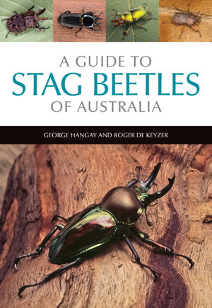 Cover art for A Guide to Stag Beetles of Australia