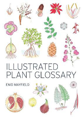 Cover art for Illustrated Plant Glossary