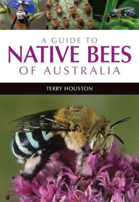 Cover art for A Guide to Native Bees of Australia