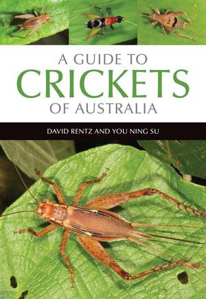 Cover art for A Guide to Crickets of Australia