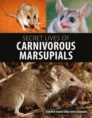 Cover art for Secret Lives of Carnivorous Marsupials