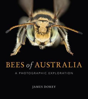 Cover art for Bees of Australia