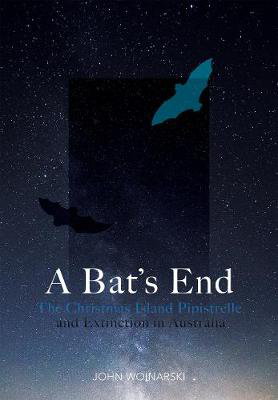 Cover art for A Bat s End