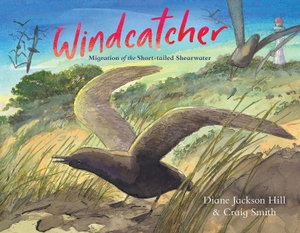 Cover art for Windcatcher