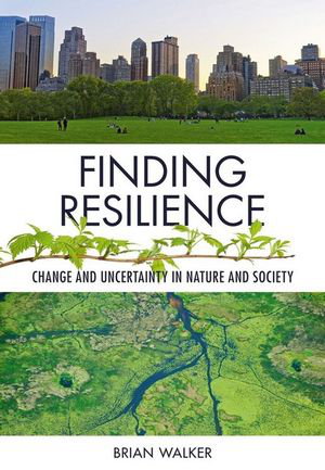Cover art for Finding Resilience