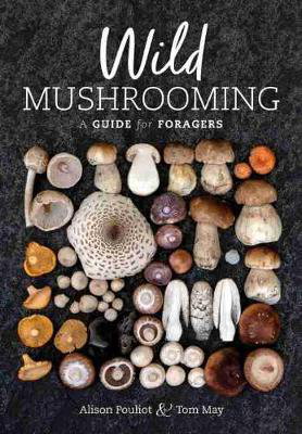 Cover art for Wild Mushrooming