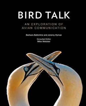 Cover art for Bird Talk