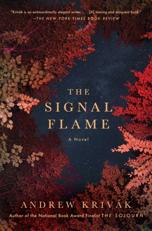 Cover art for Signal Flame