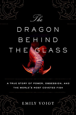 Cover art for Dragon Behind the Glass