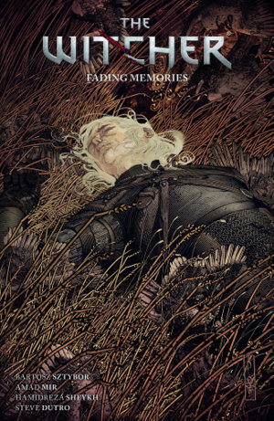 Cover art for The Witcher Volume 5:Fading Memories