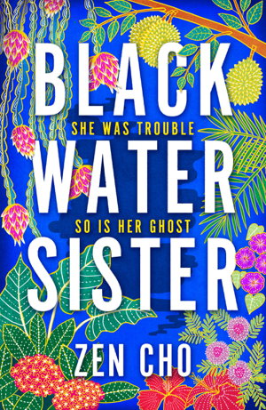 Cover art for Black Water Sister