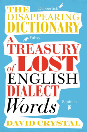 Cover art for Disappearing Dictionary