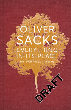 Cover art for Everything in its Place