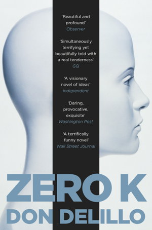 Cover art for Zero K